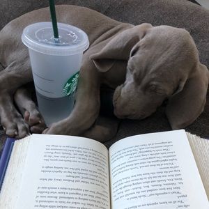 Meet your Posher, Mara